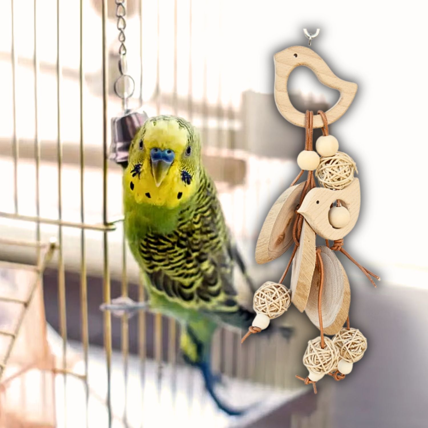 Houten Papegaai Kauwspeelgoed met gelukkig parkiet in kooi